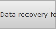 Data recovery for Ray data